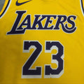 Lebron James 23